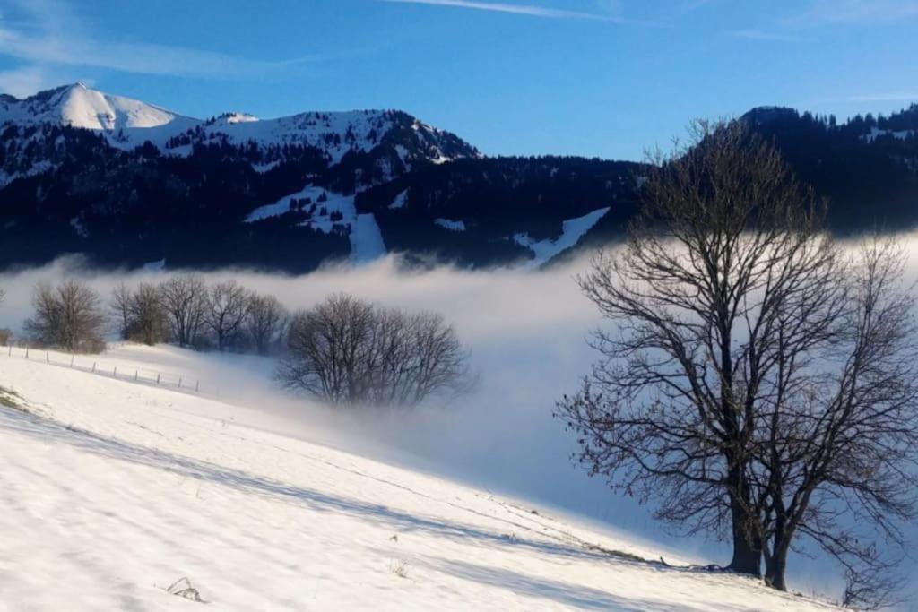 Апартаменты Jolie Vue Au Calme Эвиан-ле-Бен Экстерьер фото